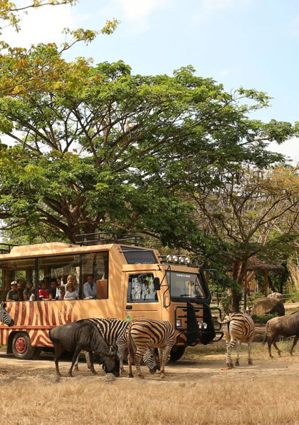 hawiper (11) hawiper (11)