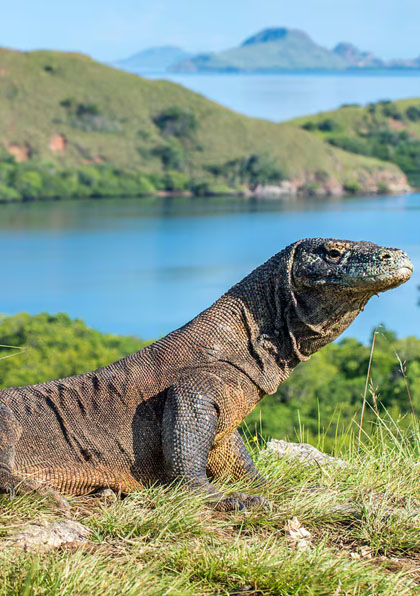 hawiper (6) hawiper (6)