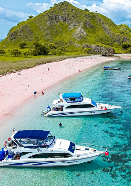 hawiper (8) hawiper (8)